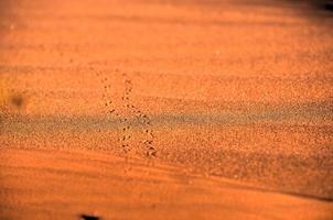 Desert Landscape - NamibRand, Namibia photo