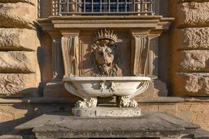 Close up lion stucco at Palazzo Pitti, the old palace of Medici family in Florence, Italy. photo