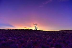 paisaje desértico - namibrand, namibia foto