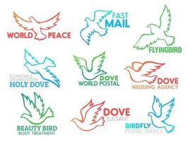 Dove bird flying vector business design icons