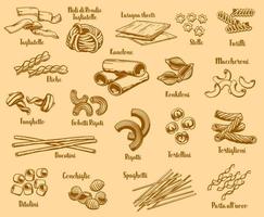 tipos y nombres de pasta italiana, vector