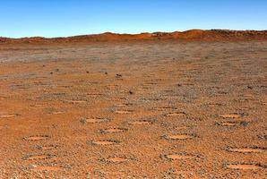 círculos de hadas - namibia foto