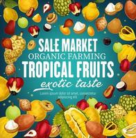 Tropical vector fruits, exotic food