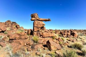 parque infantil de gigantes - namibia foto