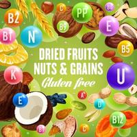 Dried fruits, nuts and grains, gluten free food vector