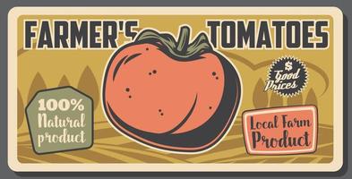 cultivo de tomate y agricultura vegetal vector
