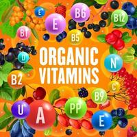 Vitamins content of wild and garden berries vector