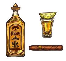 Mexican tequila lime drink and cigar sketch vector