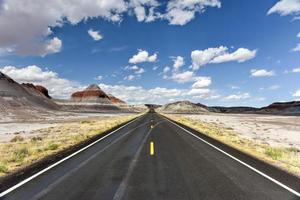 The Tepees in the Petrified Forest National Park in Arizona. photo