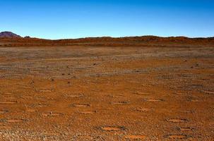 Fairy Circles - Namibia photo