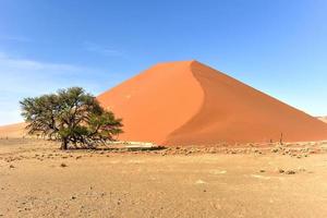 desierto de namib, namibia foto