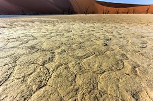 Dead Vlei, Namibia photo