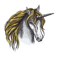 Unicorn horse sketch of animal head with horn vector