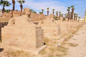 Karnak Temple - Luxor, Egypt, Africa photo