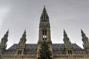 edificio rathaus en viena foto