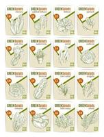 Vector sketch price cards for salads vetables