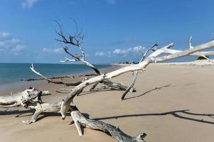 isla magaruque - mozambique foto