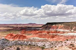 Whipple Point in the Petrified Forest National Park in Arizona. photo