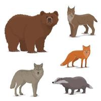 animales salvajes del bosque zorro, tejón, lince, íconos de osos vector