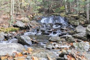 Mount Washington State Forest during Autumn. photo