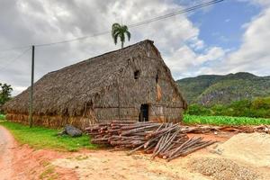 Tobacco drying room in the Vinales valley, north of Cuba. photo