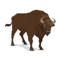 Bison wild mammal, hunting sport vector