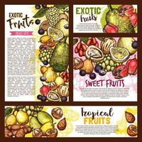 Exotic tropical fruits, vector sketch