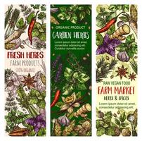 hierbas de jardín y pancartas de bosquejo del mercado de especias de granja vector