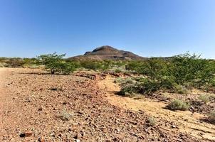 bosque petrificado, namibia foto