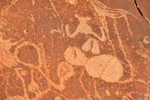 grabados rupestres bosquimanos - namibia foto