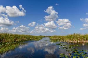 Florida wetland in the Everglades National Park in USA. Popular place for tourists, wild nature and animals. photo