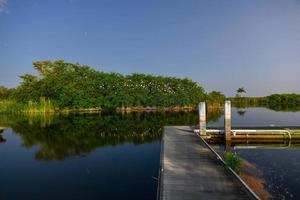 View of nature scene in the tropical Florida Everglades at night photo