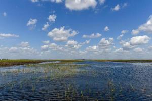 Florida wetland in the Everglades National Park in USA. Popular place for tourists, wild nature and animals. photo