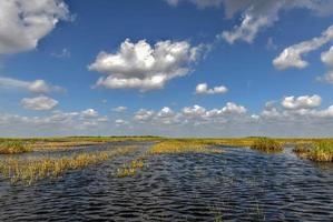 Florida wetland in the Everglades National Park in USA. Popular place for tourists, wild nature and animals. photo