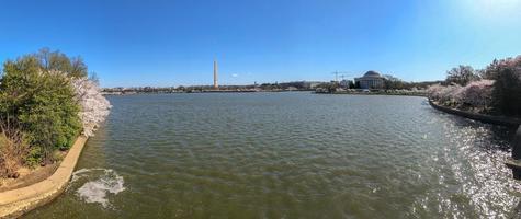 Washington Monument and cherry blossoms at the Tidal Basin during spring in Washington, DC. photo