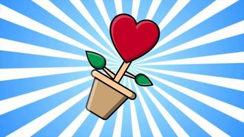 fleur festive dans un pot en forme de coeur symbole de l'amour pour la saint valentin sur fond de rayons bleus. fond abstrait. vidéo en haute qualité 4k, motion design video