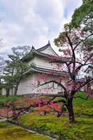 castillo de nijo en kioto, japón. es uno de los diecisiete monumentos históricos de la antigua kyoto. foto