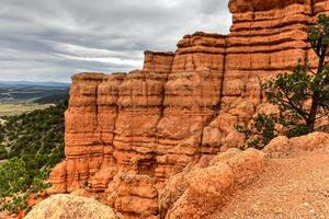 cañón rojo en el bosque nacional dixie en utah, estados unidos. foto