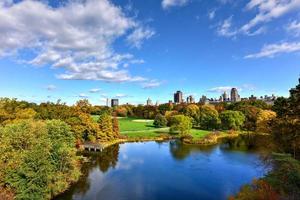 vista aérea de central park, nueva york en otoño. foto