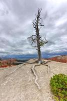 Bryce Canyon National Park in Utah, United States. photo