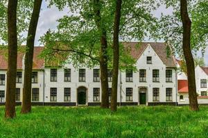 Medieval white houses in the Princely Beguinage Begijnhof Ten Wijngaerde  in Bruges, Belgium. photo