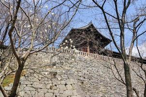 templo kiyomizu-dera en otoño, kyoto, japón foto