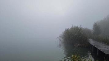 Nebel auf dem Fluss, Schilf und ein Metallsteg. Leere und Einsamkeit. Thema Herbst. video