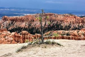 el anfiteatro en el parque nacional bryce canyon en utah, estados unidos. foto