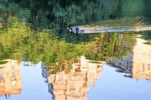 Ducks in Central Park Lake with nearby buildings reflected in New York City photo