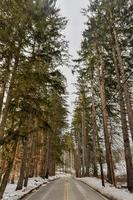 Road and trees along Quechee River Park Vermont during the winter. photo