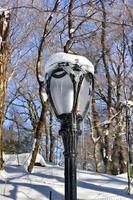 poste de luz congelado del parque central en la ciudad de nueva york después de una tormenta de nieve. foto