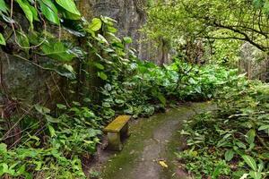 Fort Hamilton is a picturesque site overlooking the lush gardens and the harbor. It was built in 1870s to protect the Hamilton Harbor and form a line of defense for the western Royal Naval Dockyard. photo