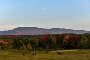 View of Vermont and the surrounding area during peak foilage in Fall. photo