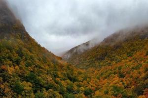 Panoramic view of peak fall foliage in Smugglers Notch, Vermont. photo